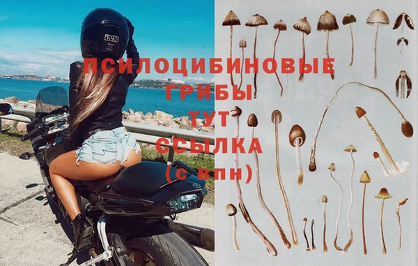 каннабис Волоколамск