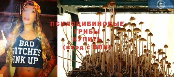 СК Вяземский