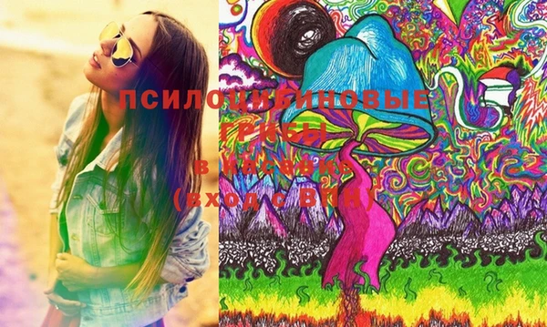 СК Вяземский