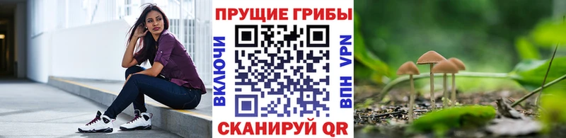 Купить Липки Галлюциногенные грибы Cubensis